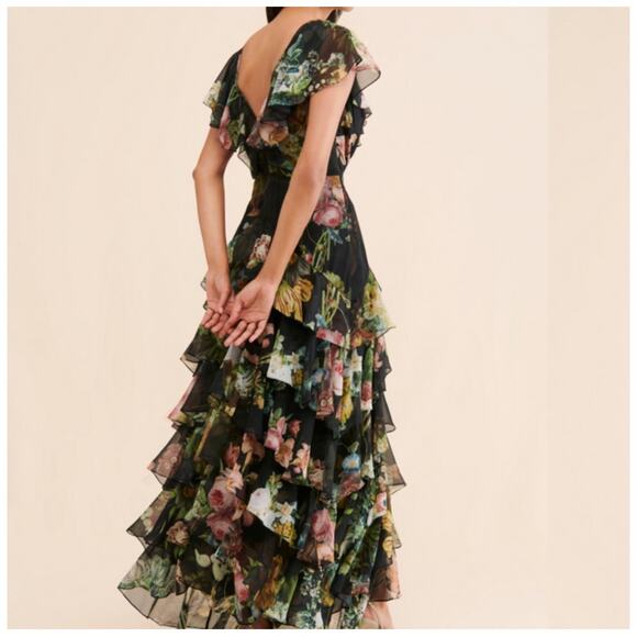 Anthropologie/Pankaj & Nidhi Floral Chiffon Ruffle Maxi Dress Size Small - Picture 2 of 9